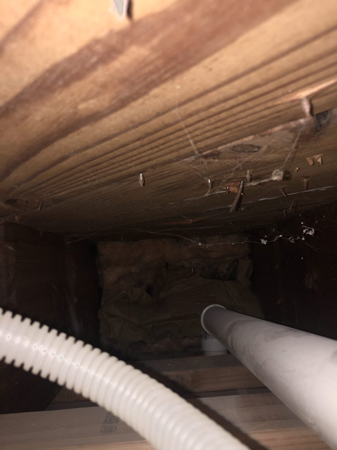 How to Fit a Vertical Plumbing Pipe - Icon Home Inspectors