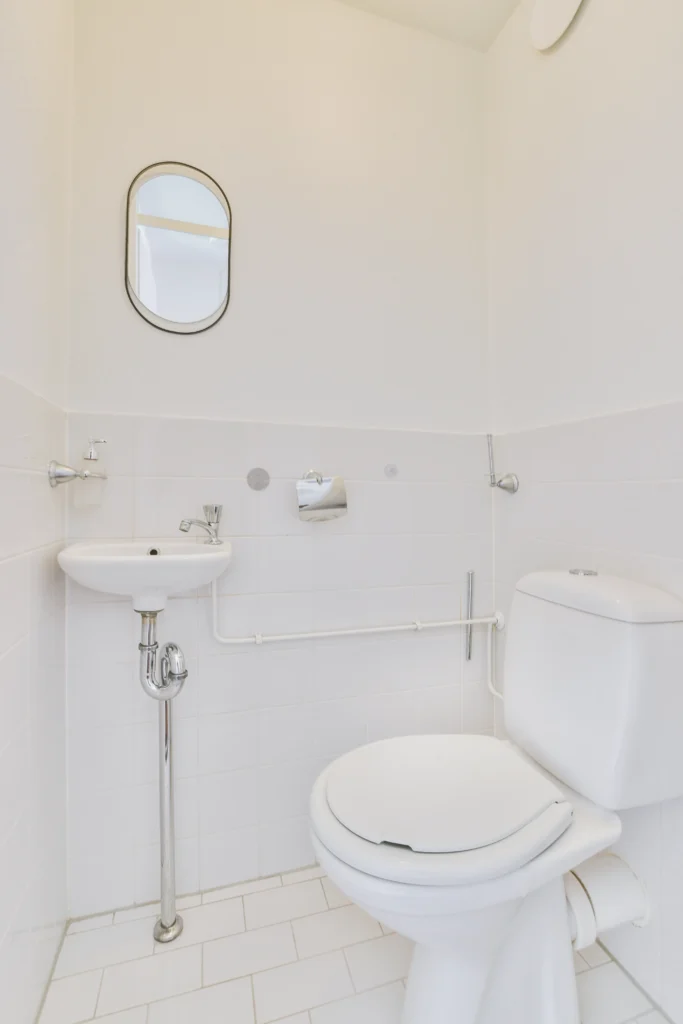 toilet cleaning how to