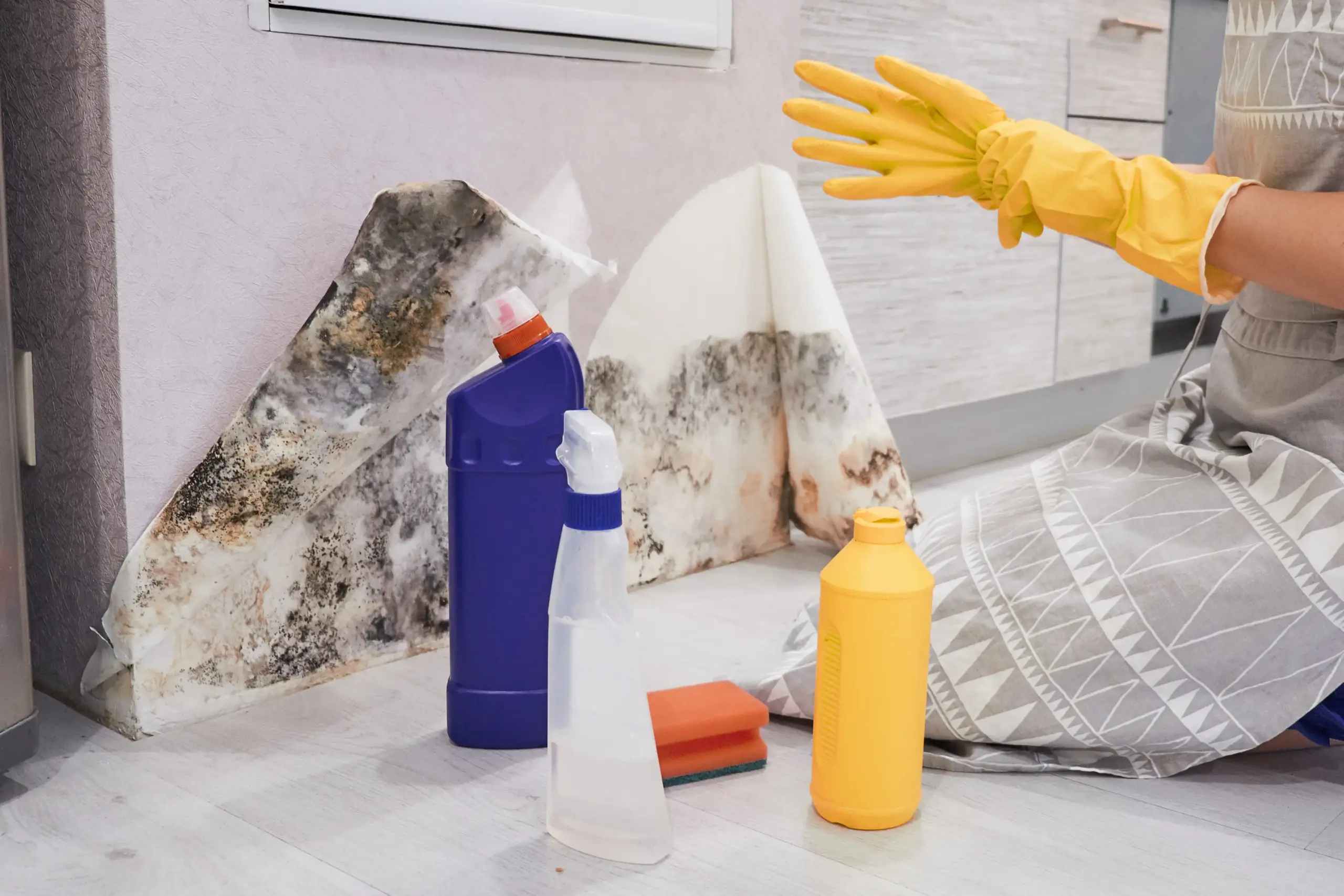 How to Remove Mold in Basement Icon Home Inspectors