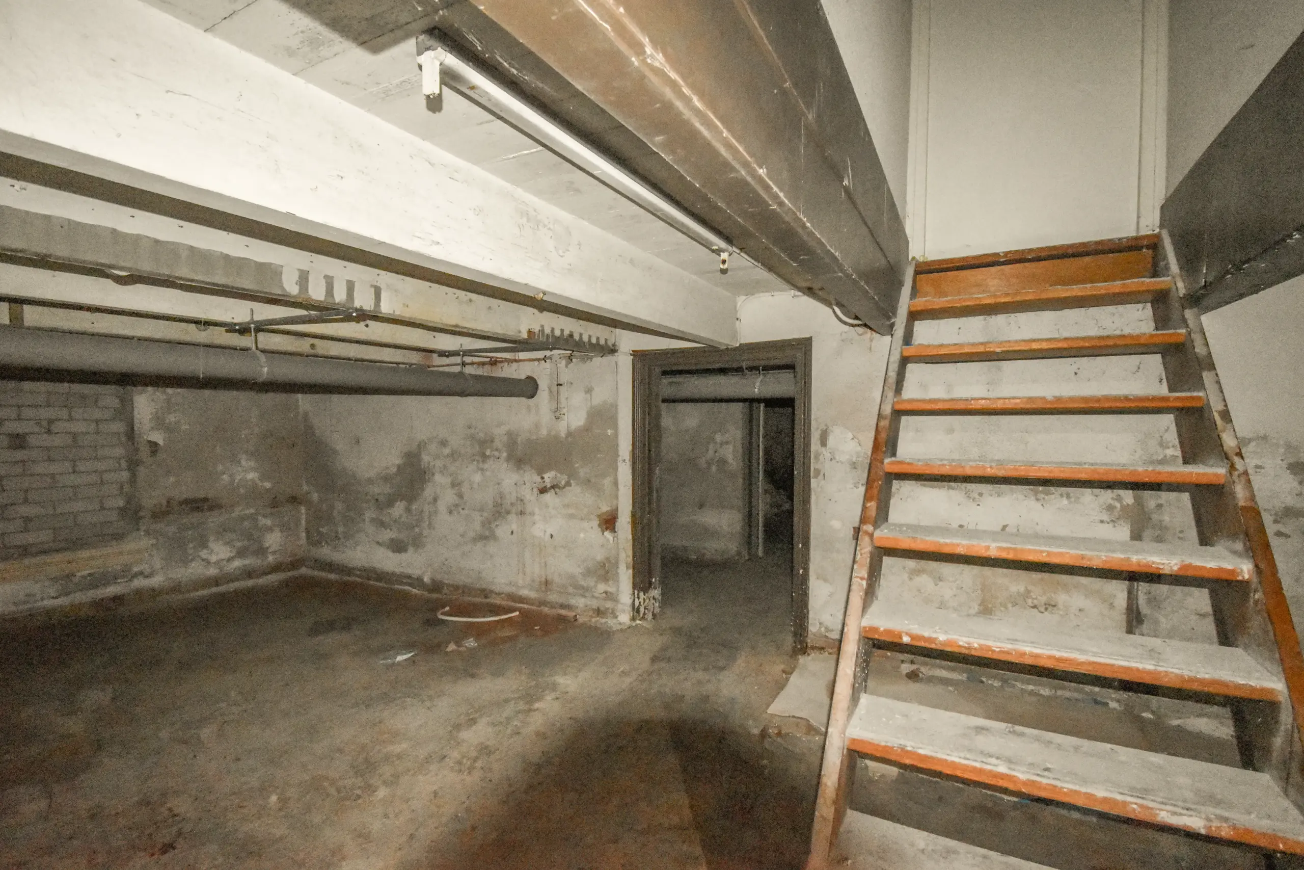 How to Tell If You Have Mold in Your Home Icon Home Inspectors