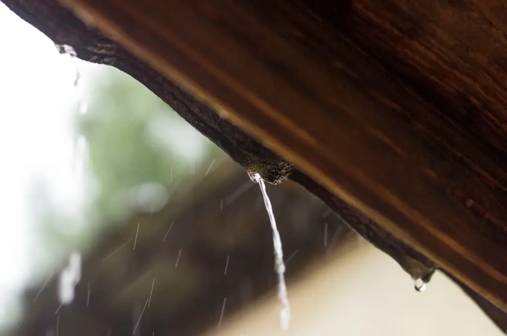How To Find Water Leak In House Icon Home Inspectors (7)