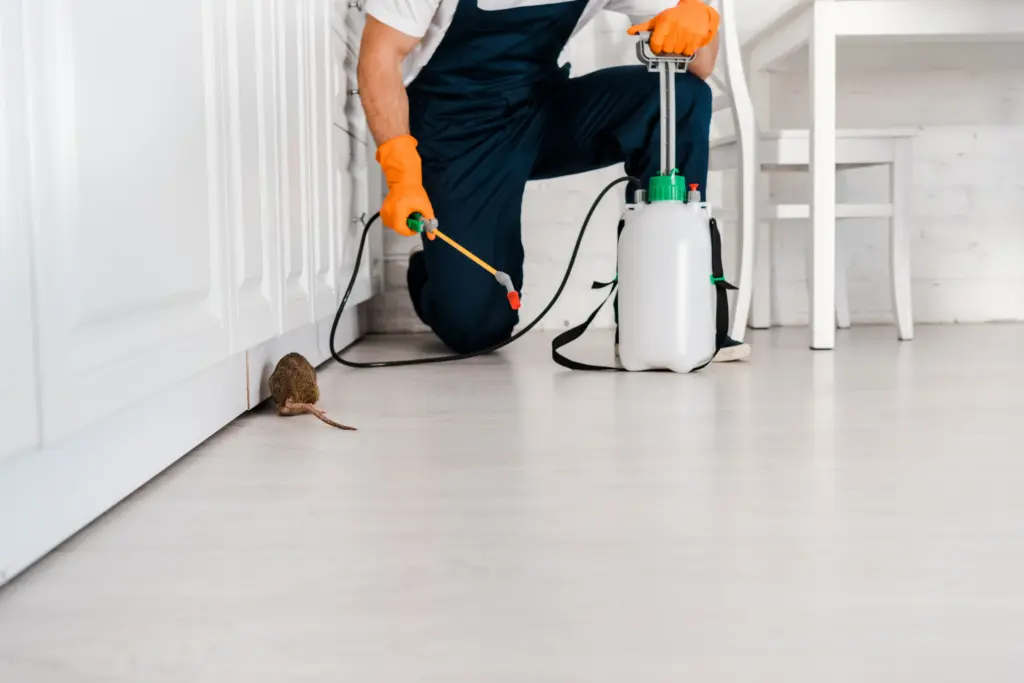 How much does pest inspection cost Solon Ohio