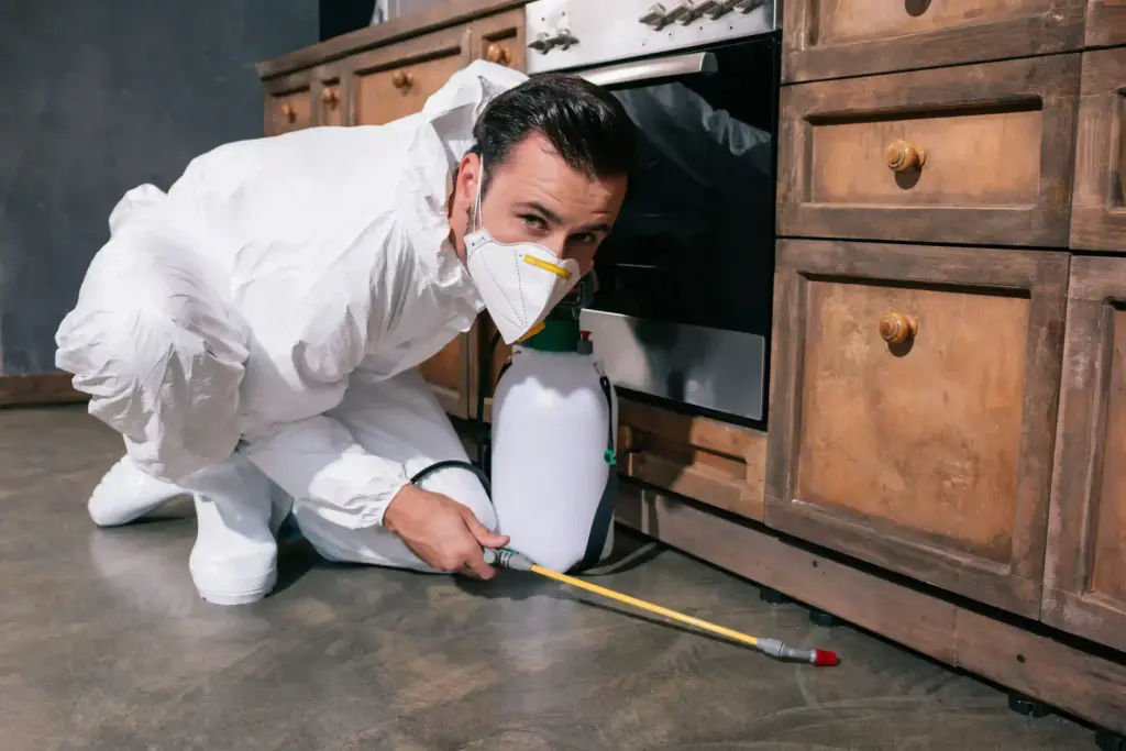 How much does pest inspection cost Stow Ohio