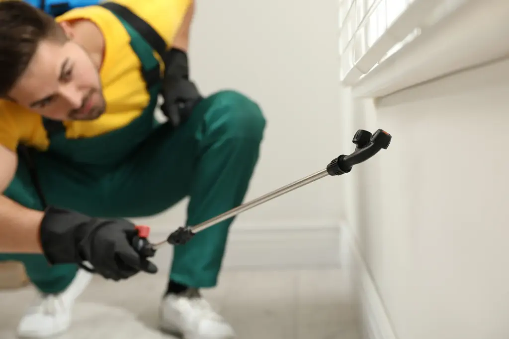 How much does pest inspection cost Twinsburg Ohio