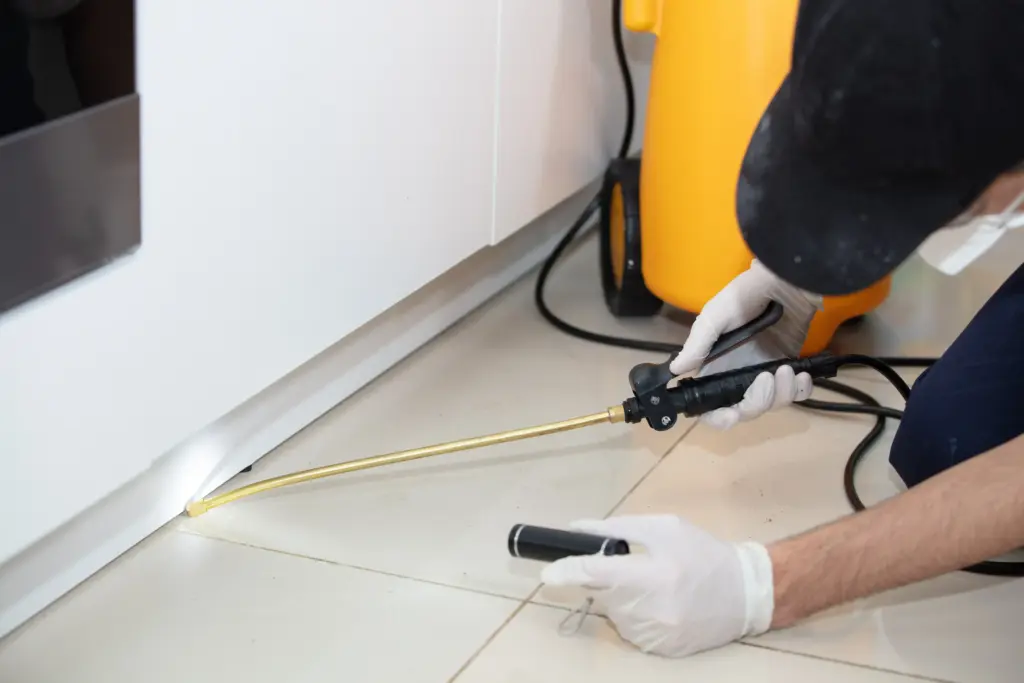 How much is a pest inspection Elyria Ohio