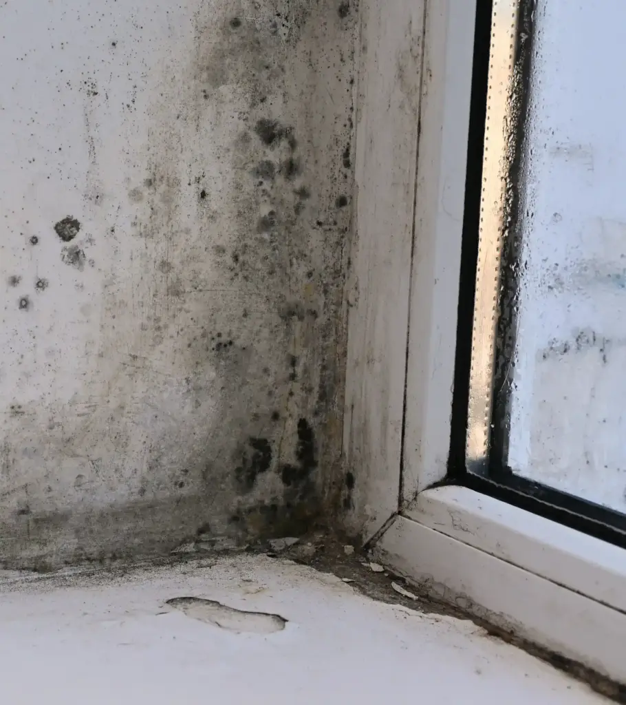 What does house mold smell like Strongsville Ohio