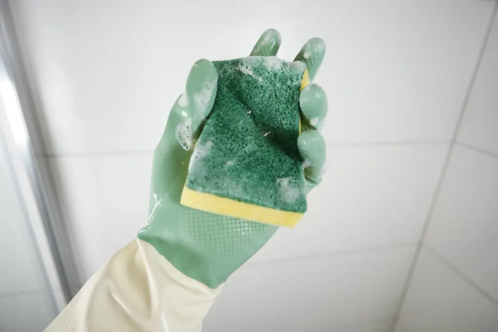 How to clean house mold Berea Ohio