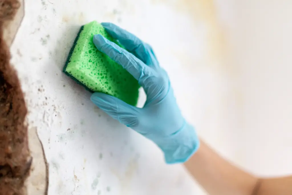 How to clean house mold Strongsville Ohio 2