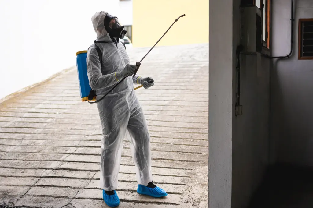 Why pest control is important Shaker Heights Ohio 4