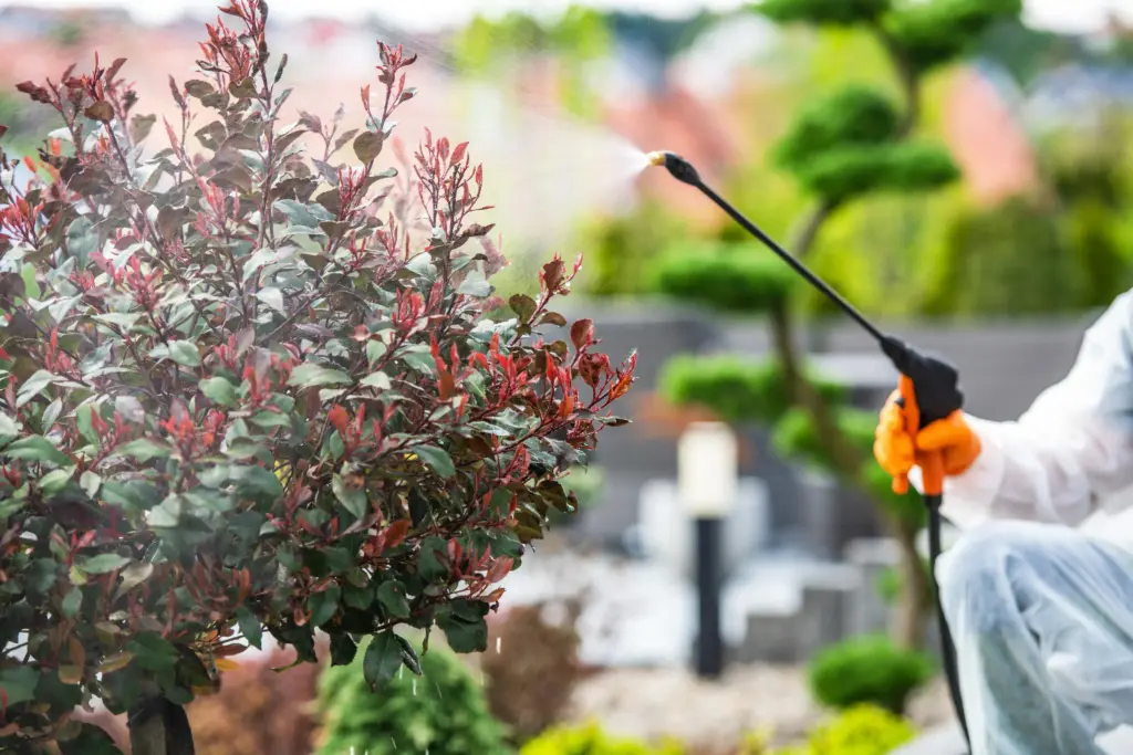 Why pest control is important Strongsville Ohio 1