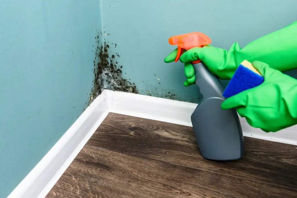 Can house mold cause headaches Berea Ohio 3