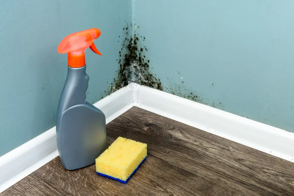 Can house mold cause headaches North Olmsted Ohio 2