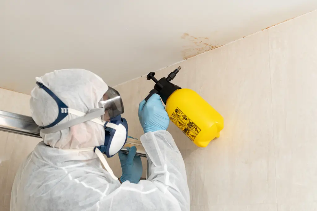 How Much Does Mold Removal Cost Cleveland Heights Ohio