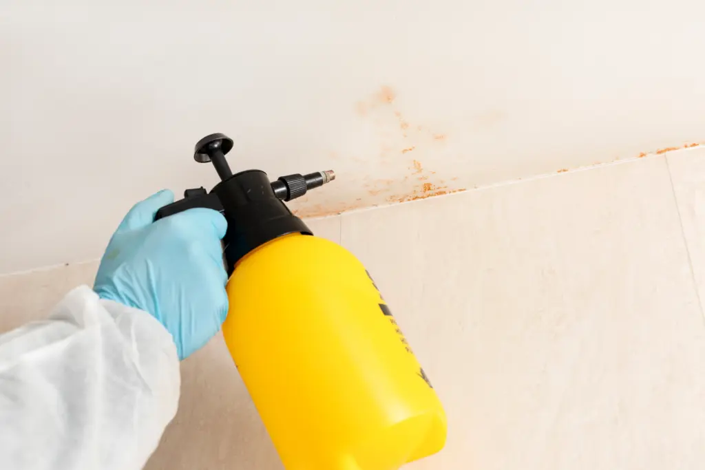 How Much Mold Remediation Rocky River Ohio