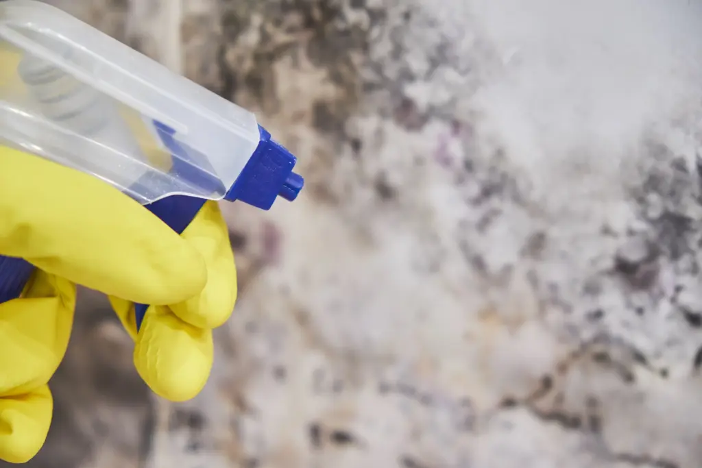 How Much Mold Remediation Westlake Ohio