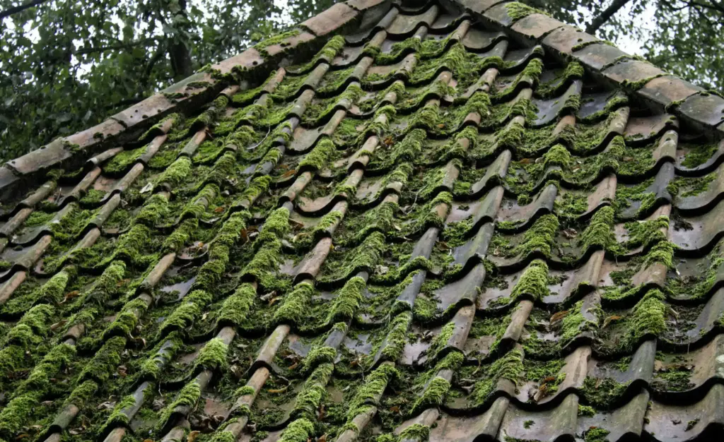 How To Clean Roof Moss Bay Village Ohio