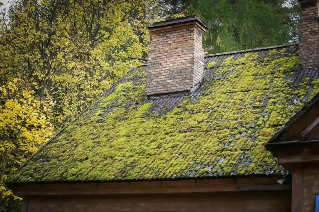 How To Clean Roof Moss Parma Ohio